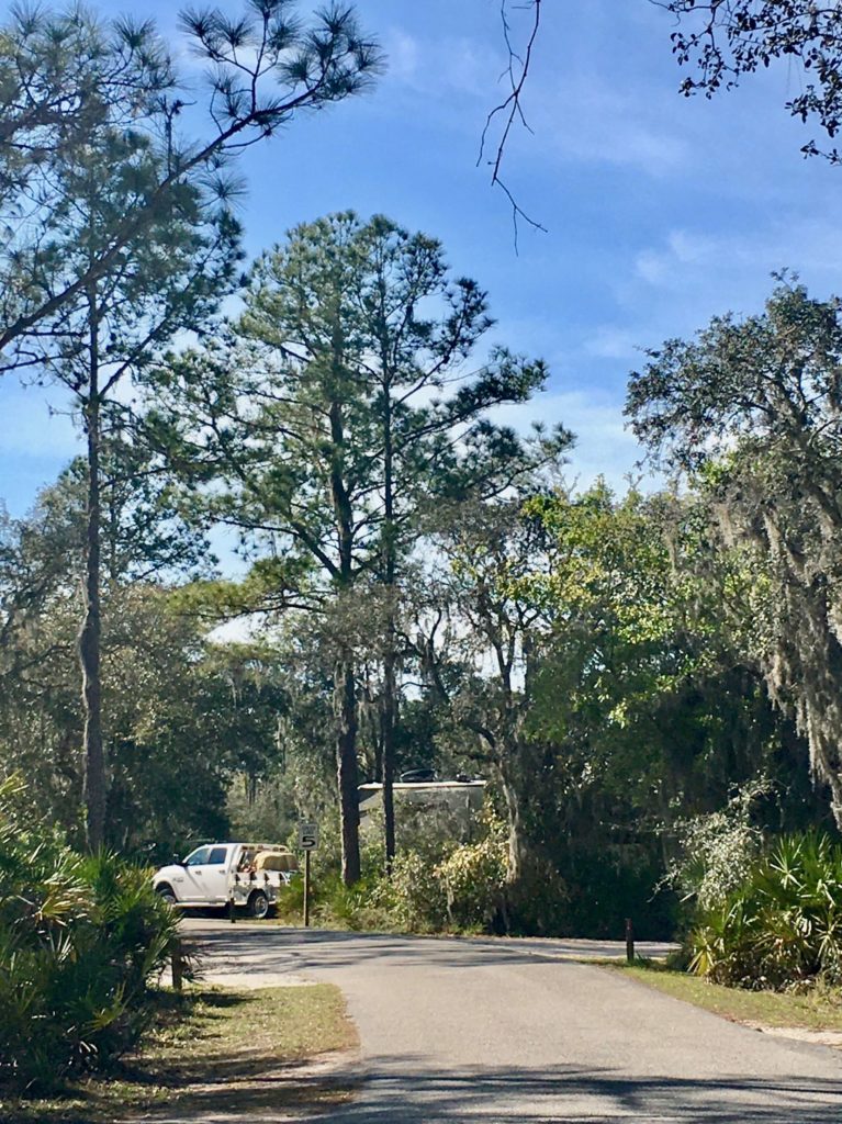 Campgrounds at Lake Manatee State Park