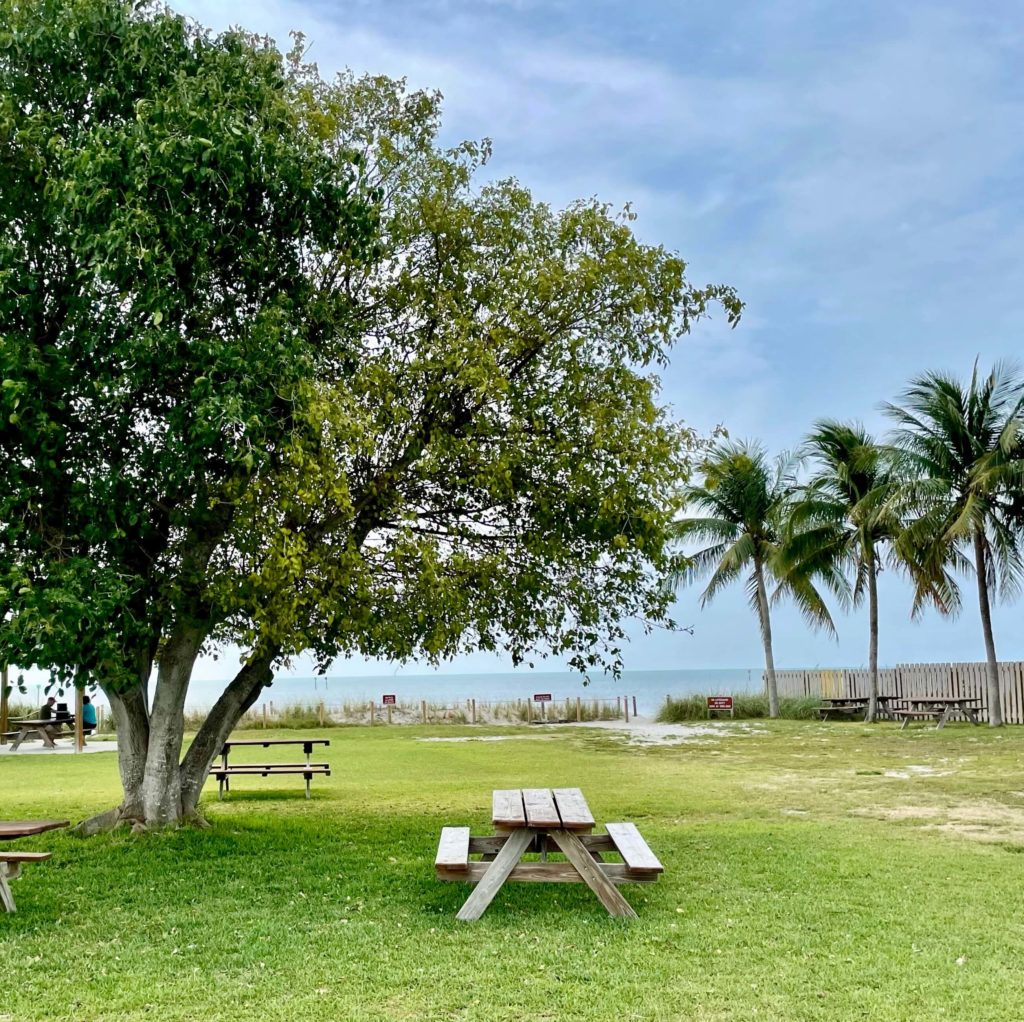 Picnic area at Curry Hammock State Park